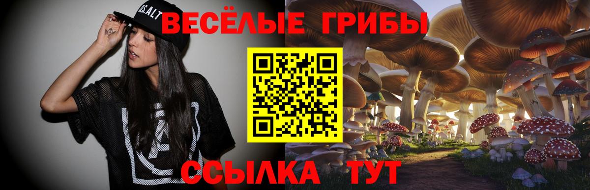 Галлюциногенные грибы мицелий  Галлюциногенные грибы MAGIC MUSHROOMS  Вход с VPN  Канаш 